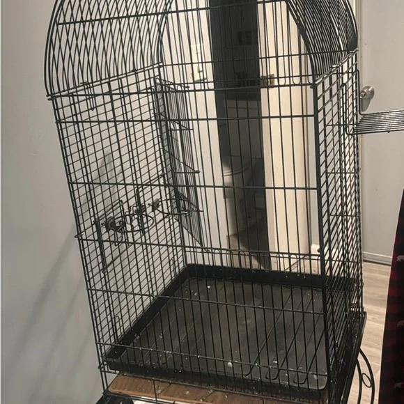 Black Bird Cage
